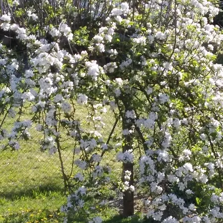 Apartment Stockemer Haecke *